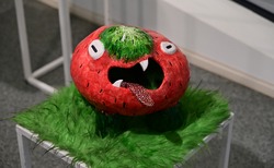 628638603-10236842620237487-6290244823973845455-n_250x154_crop_478b24840a