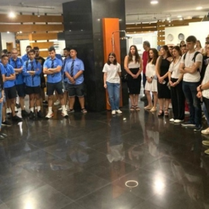 vidima_700x700_crop_478b24840a