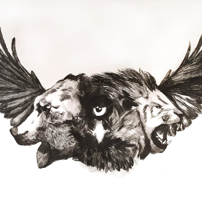 plamen-panayotov_700x700_crop_478b24840a