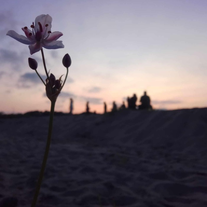 m-lm-ic3-h3_700x700_crop_478b24840a